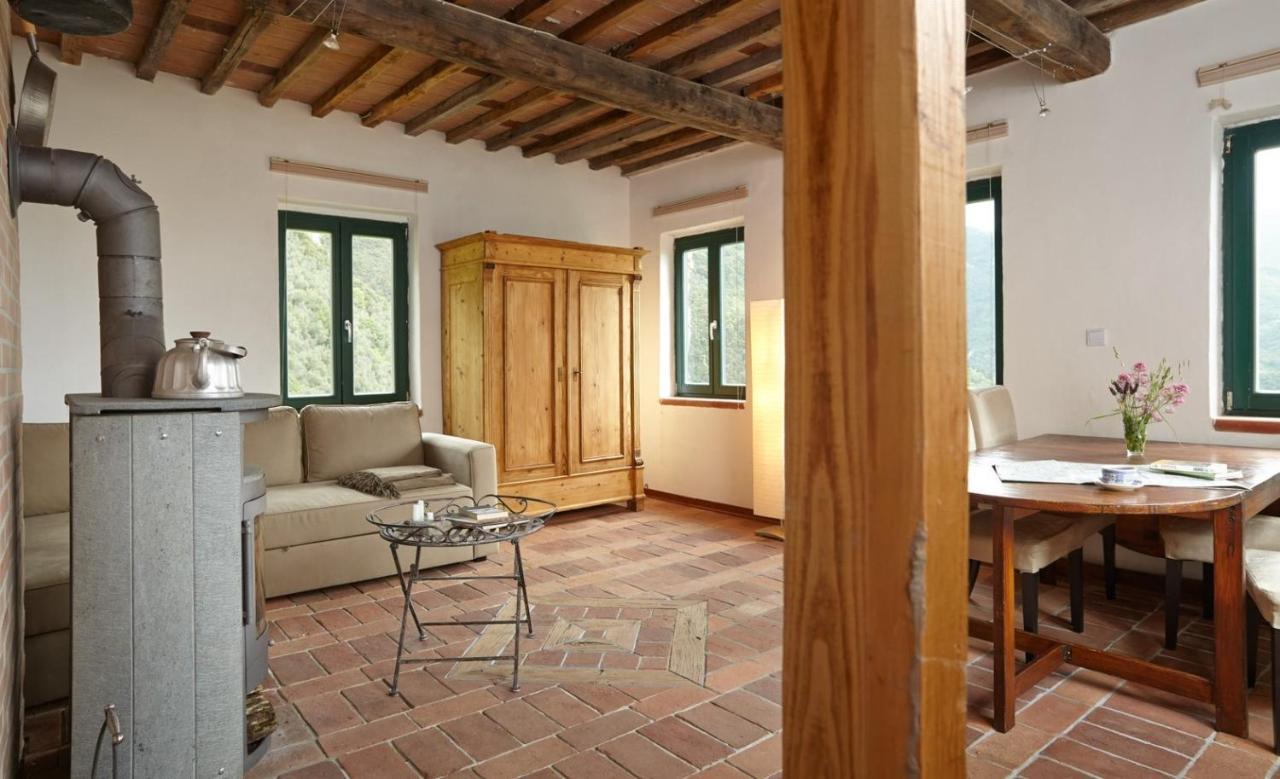 Casa Berti - Urlaub Im Olivenhain Camaiore Buitenkant foto
