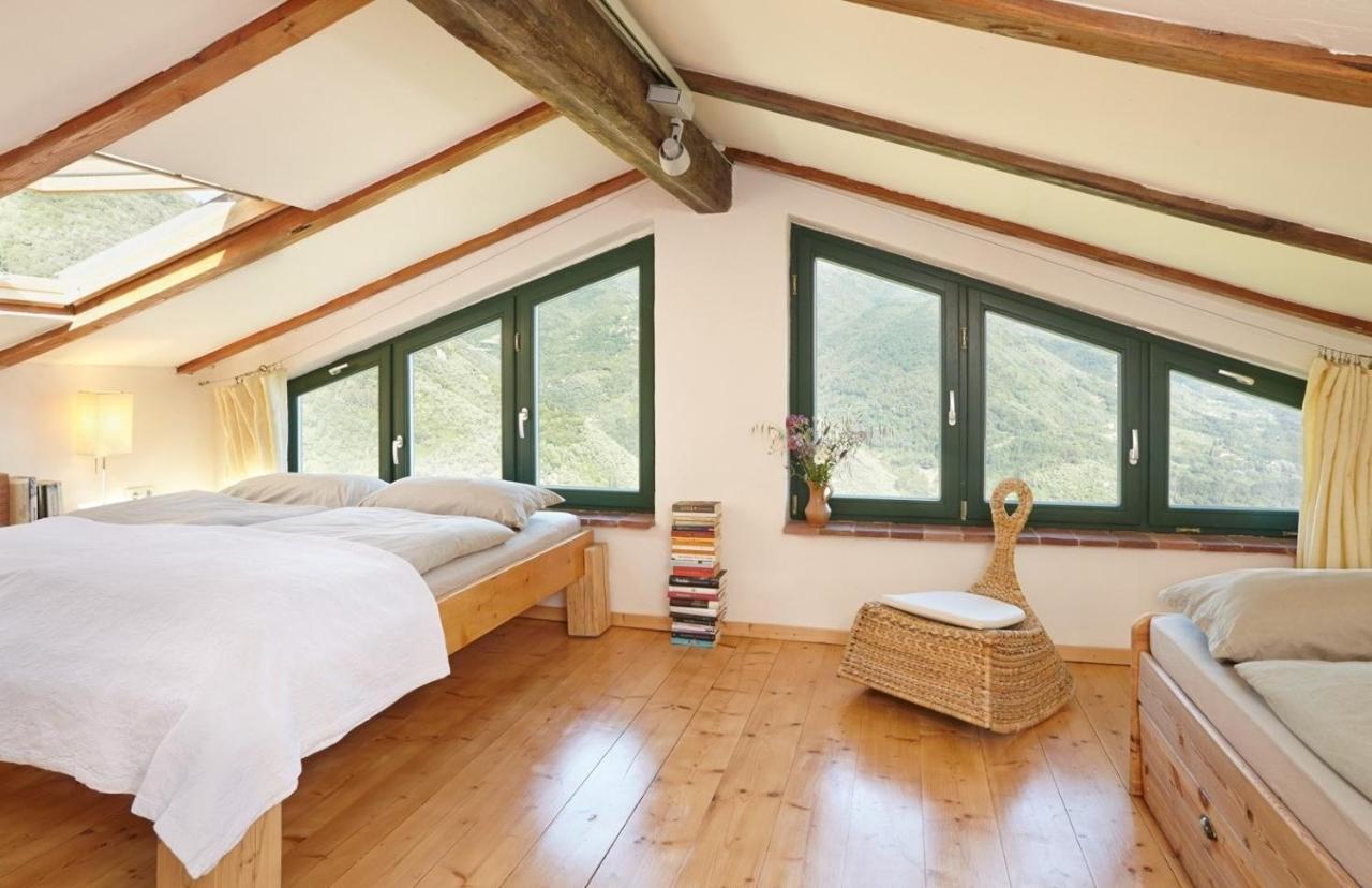 Casa Berti - Urlaub Im Olivenhain Camaiore Buitenkant foto