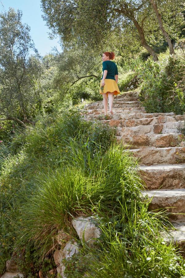 Casa Berti - Urlaub Im Olivenhain Camaiore Buitenkant foto
