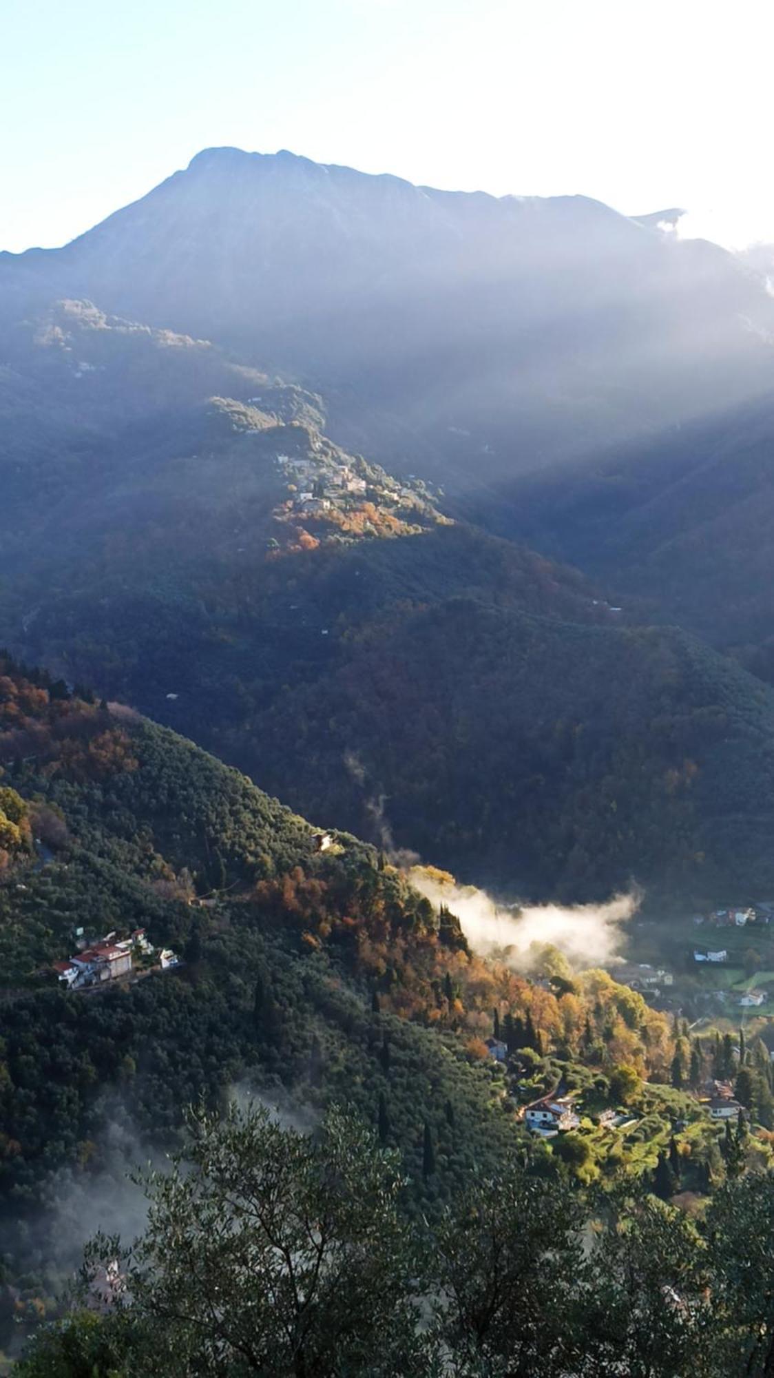 Casa Berti - Urlaub Im Olivenhain Camaiore Buitenkant foto