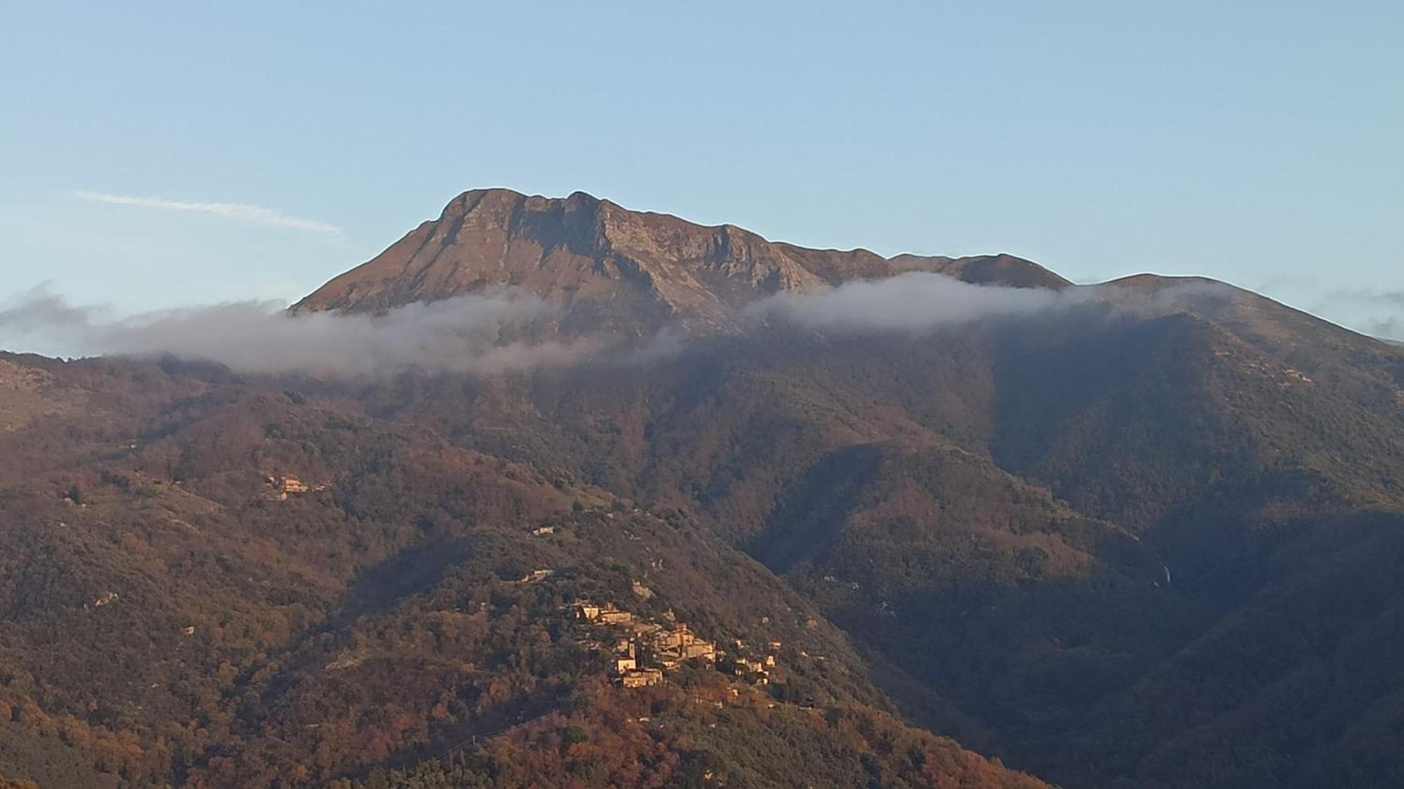 Casa Berti - Urlaub Im Olivenhain Camaiore Buitenkant foto