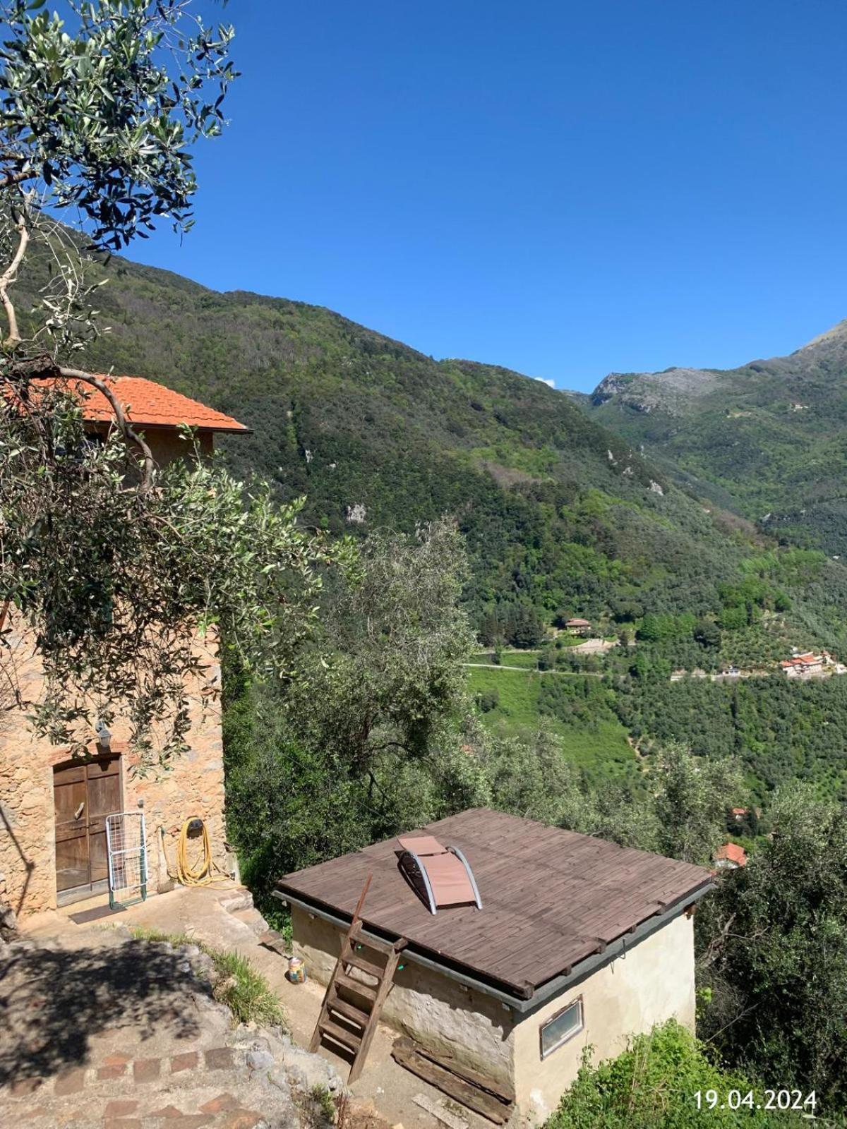 Casa Berti - Urlaub Im Olivenhain Camaiore Buitenkant foto